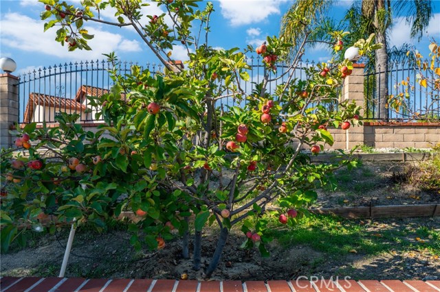 Detail Gallery Image 32 of 58 For 24301 Sunnycrest Ct, Diamond Bar,  CA 91765 - 4 Beds | 3/1 Baths