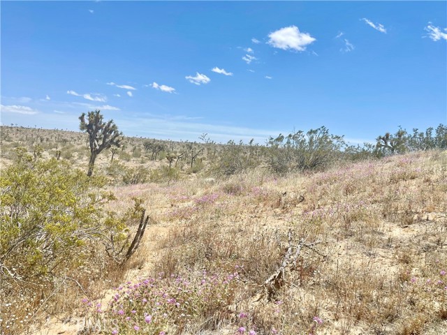 Detail Gallery Image 18 of 19 For 20 Acres, Yucca Valley,  CA 92285 - – Beds | – Baths