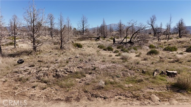 Detail Gallery Image 21 of 23 For 34 Blk 43 Lot 34 Heinzelman Dr., Montague,  CA 96064 - – Beds | – Baths