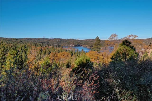 202 Hidden Forest Road, Lake Arrowhead, California 92352, ,Land,For Sale,202 Hidden Forest Road,CREV23214554