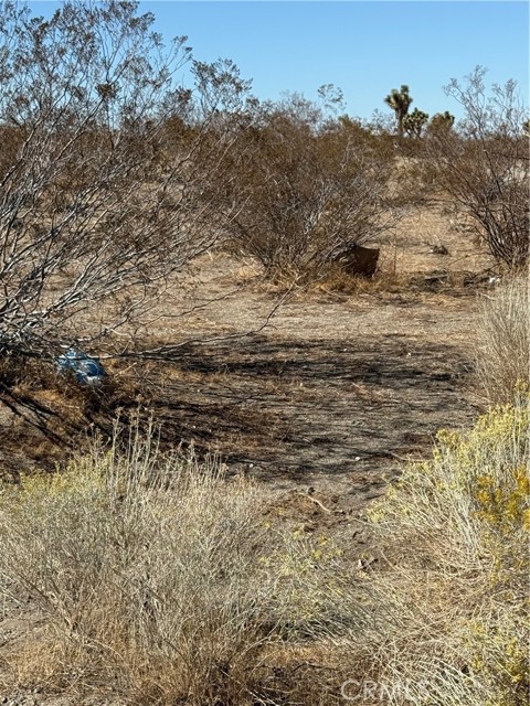 Detail Gallery Image 4 of 5 For 0 Beekley Rd, Pinon Hills,  CA 92372 - – Beds | – Baths