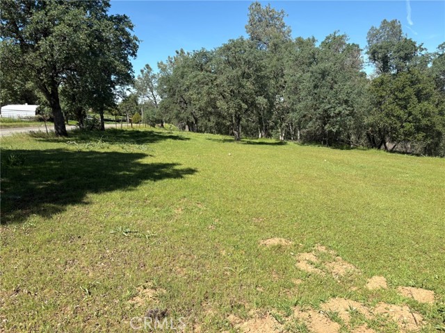 Detail Gallery Image 22 of 26 For 3465 Foothill Bld, Oroville,  CA 95966 - – Beds | – Baths