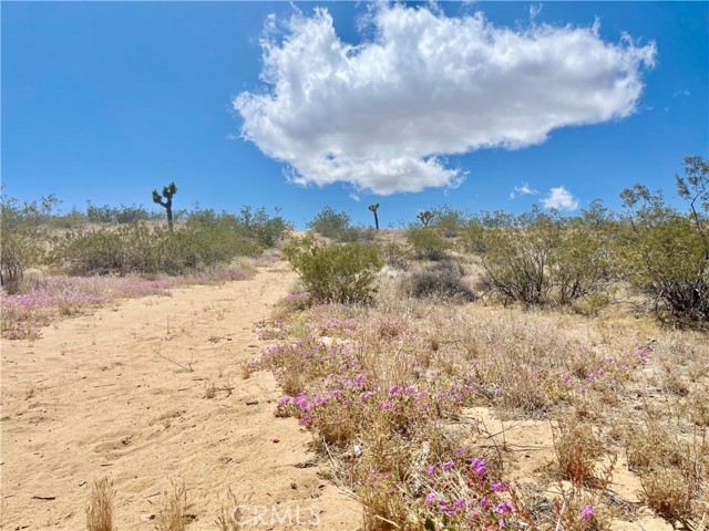 Detail Gallery Image 19 of 19 For 20 Acres, Yucca Valley,  CA 92285 - – Beds | – Baths