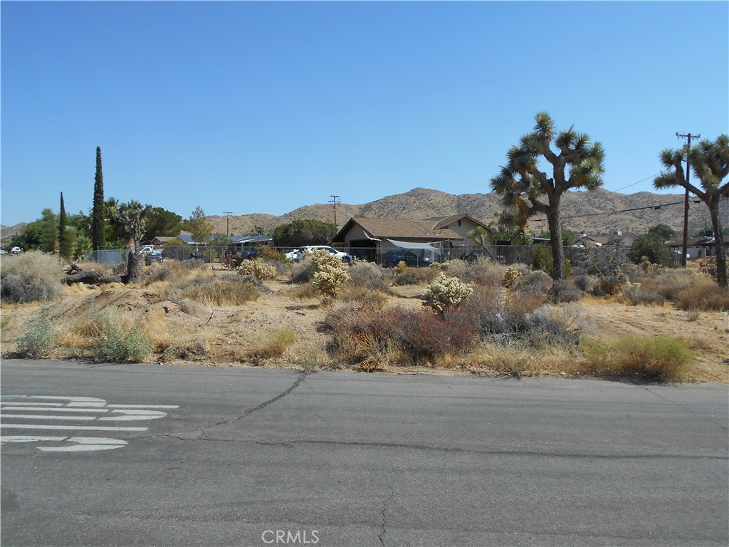 MLS #JT25181144 image #2