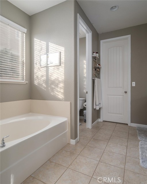 Master bath and shower