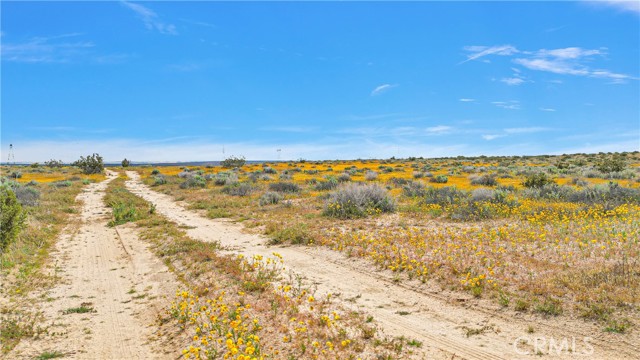 Detail Gallery Image 12 of 16 For 7 Near Powerline Rd, Boron,  CA 93516 - – Beds | – Baths