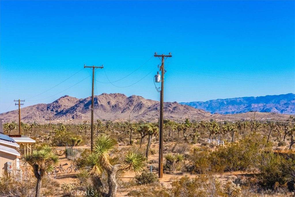 MLS #JT25260837 image #3