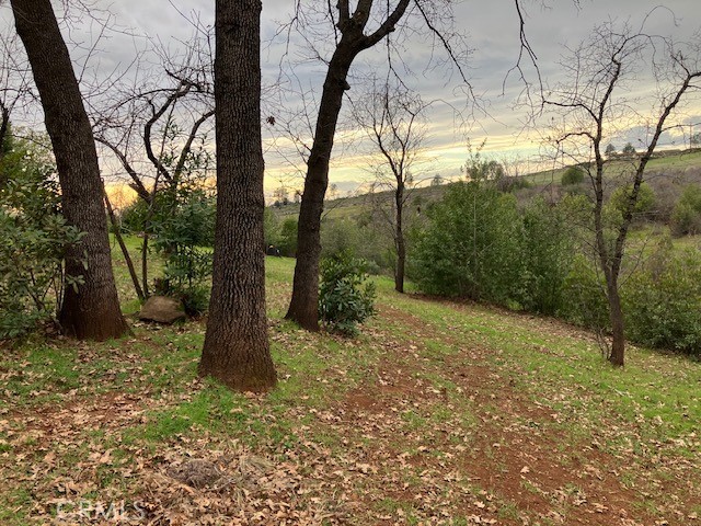 Detail Gallery Image 11 of 40 For 217 Craft, Paradise,  CA 95969 - 4 Beds | 3/1 Baths