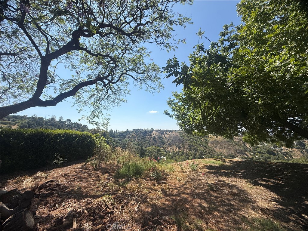 MLS #SR26134771 image #5