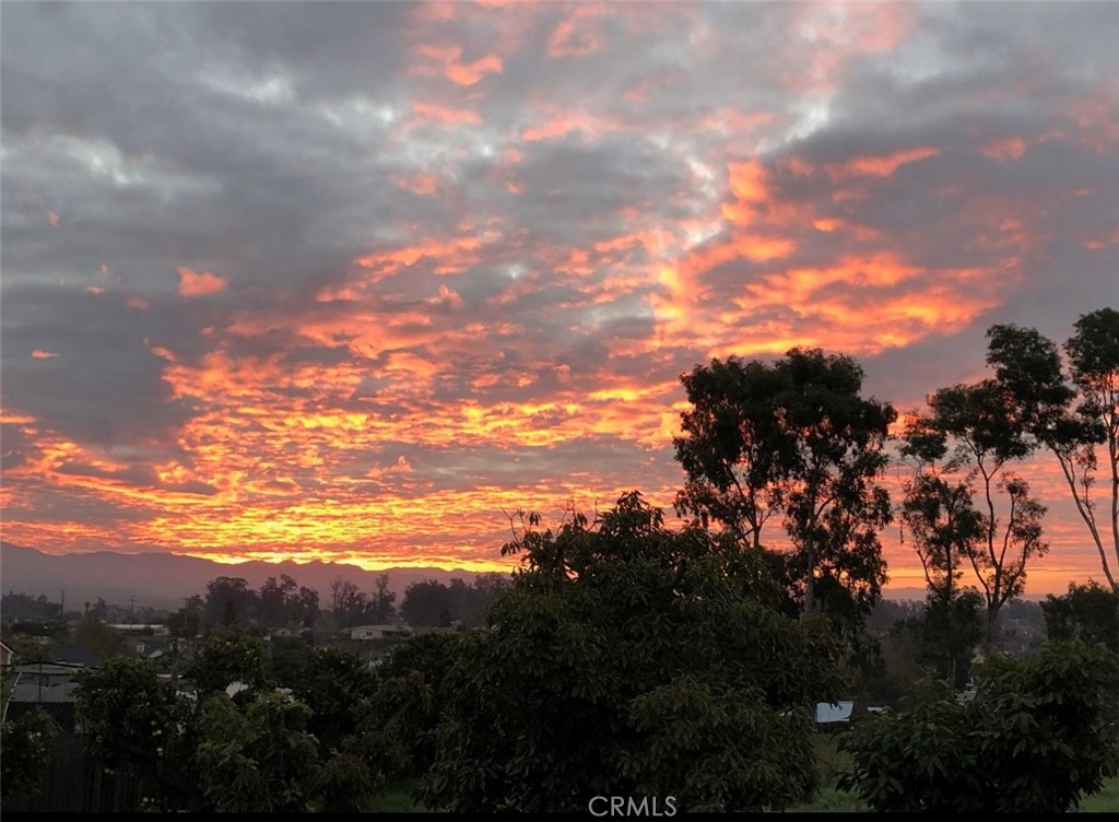 https://media.crmls.org/medias/d533ef20-0bc5-4920-92fa-a72bbc3e7741.jpg?preset=X-Large