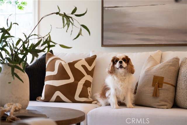 25941 Sheriff Road, Laguna Hills CA: https://media.crmls.org/medias/d5360220-9846-4e75-9e54-516c34b3d883.jpg