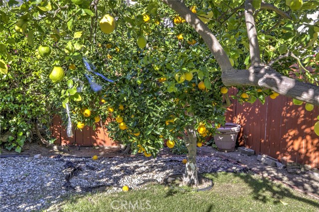 Detail Gallery Image 14 of 27 For 324 N Adams, Glendale,  CA 91206 - 5 Beds | 3 Baths