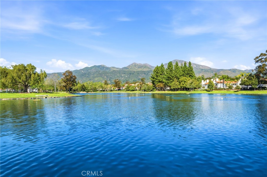 https://media.crmls.org/medias/d53cf7fc-9446-4863-95e5-8fc534de9cdc.jpg?preset=X-Large