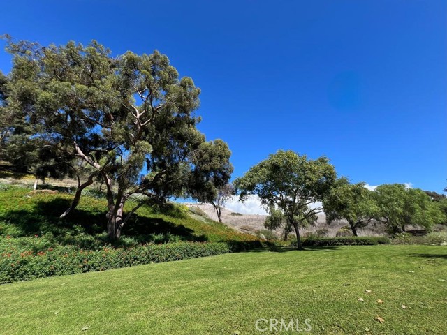 Detail Gallery Image 43 of 44 For 1074 Calle Del Cerro #1805,  San Clemente,  CA 92672 - 2 Beds | 2 Baths