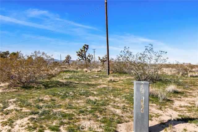 Detail Gallery Image 9 of 26 For 55725 Napa, Landers,  CA 92285 - – Beds | – Baths