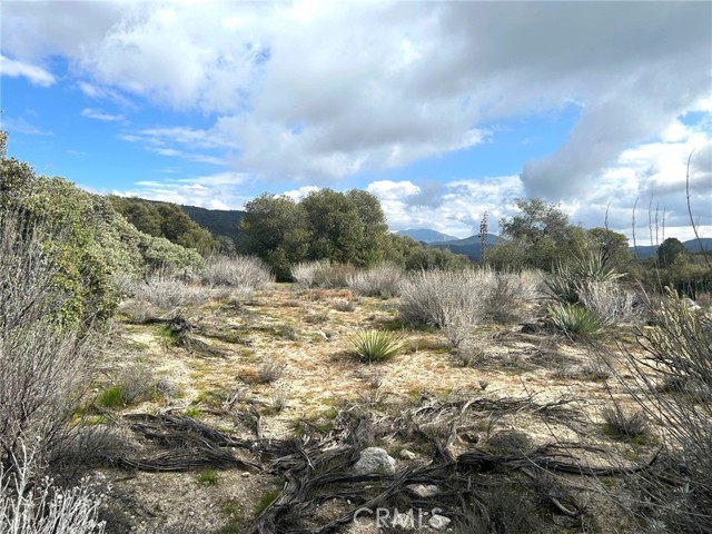 Detail Gallery Image 27 of 29 For 0 Oak Rd, Anza,  CA 92539 - – Beds | – Baths