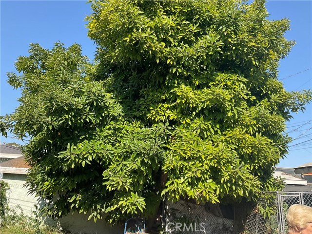 Detail Gallery Image 9 of 28 For 1330 E 56th St, Long Beach,  CA 90805 - 2 Beds | 1 Baths