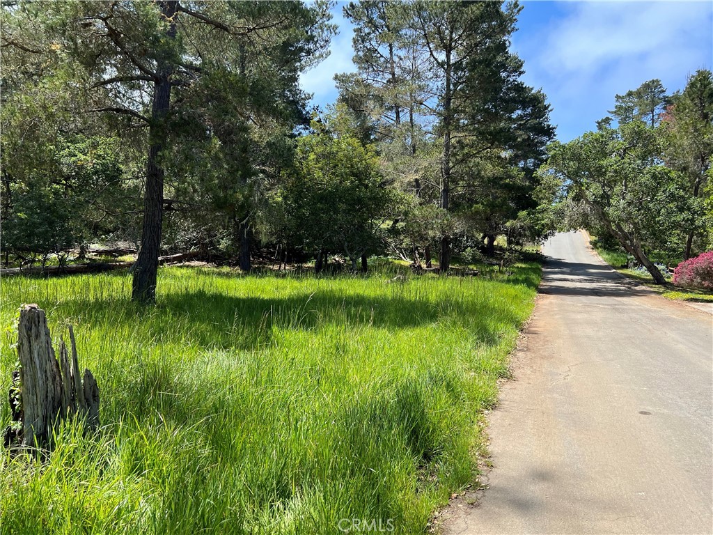 MLS #SC25087439 image #3