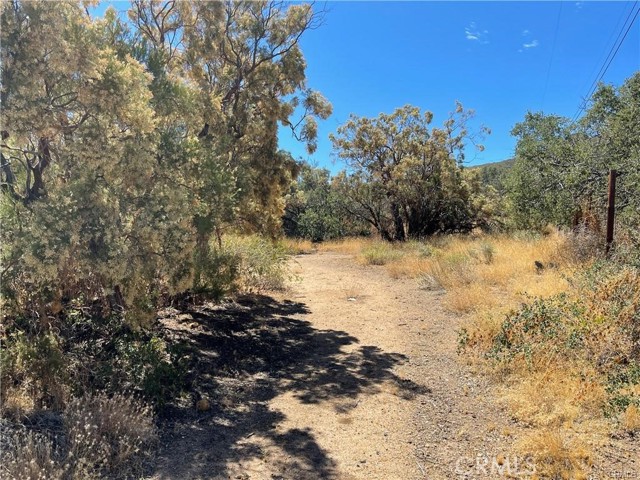 0 Rosamond, Anza, California 92539, ,Land,For Sale,0 Rosamond,CRSW24034432