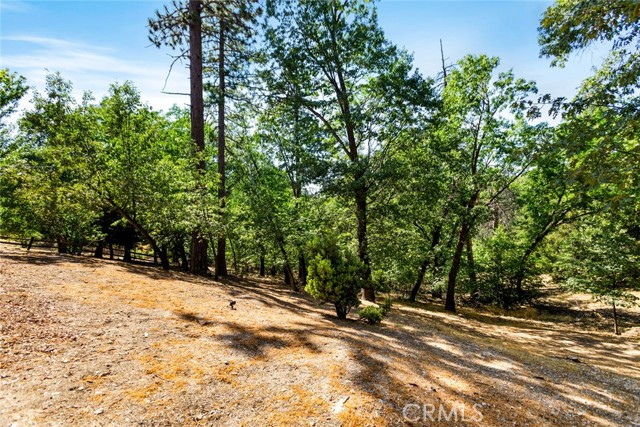 Detail Gallery Image 47 of 65 For 18 Fredalba Rd, Running Springs,  CA 92382 - 3 Beds | 2/1 Baths