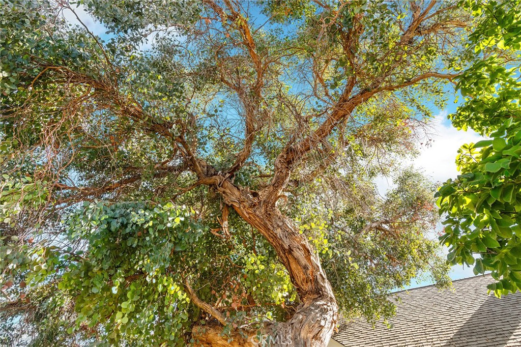 https://media.crmls.org/medias/d5648833-1a74-4254-bf27-ad497a29dd8f.jpg?preset=X-Large
