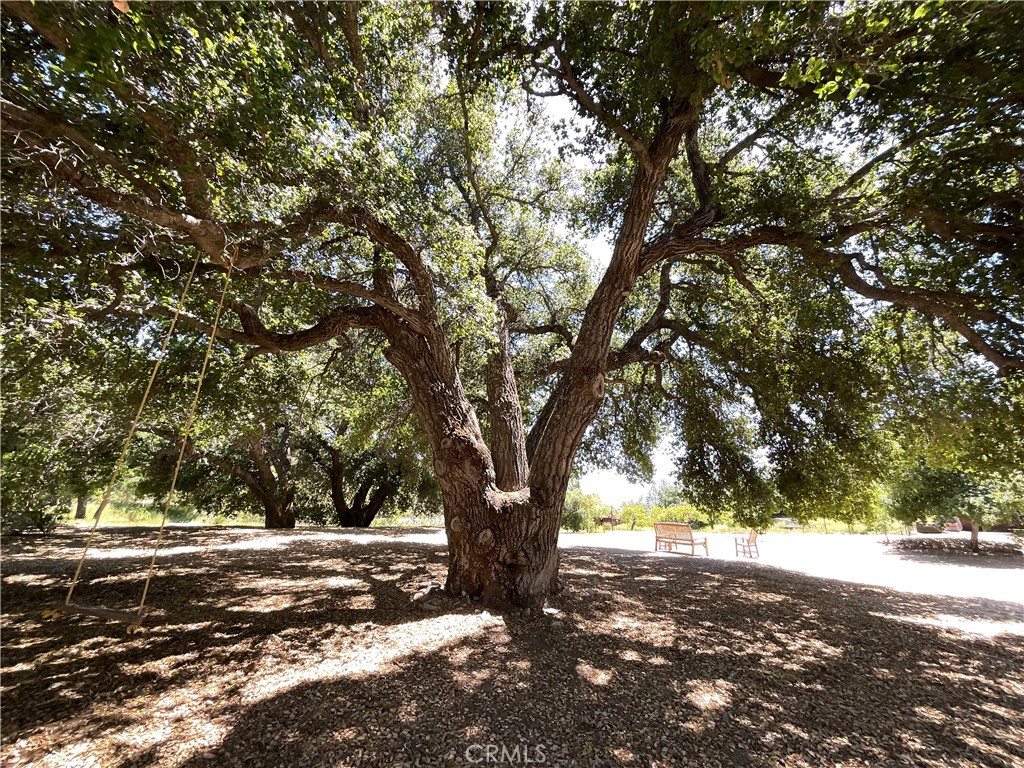 76352 Bryson Hesperia Road, Bradley, CA 93426