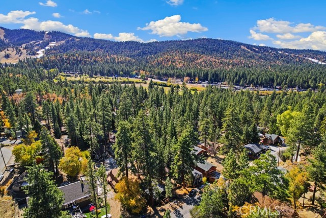 Detail Gallery Image 40 of 41 For 43103 Monterey St, Big Bear Lake,  CA 92315 - 2 Beds | 1 Baths