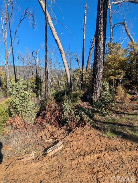 Detail Gallery Image 19 of 38 For 1833 Hunter Point Rd, Upper Lake,  CA 95485 - – Beds | – Baths