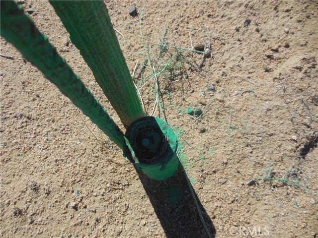 Detail Gallery Image 4 of 7 For 105 Smoke Bush, Lucerne Valley,  CA 92356 - – Beds | – Baths