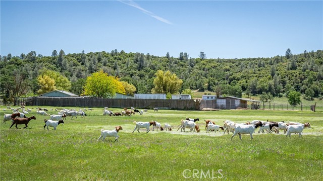 Detail Gallery Image 38 of 71 For 12285 High Valley Rd, Clearlake Oaks,  CA 95423 - 4 Beds | 3 Baths
