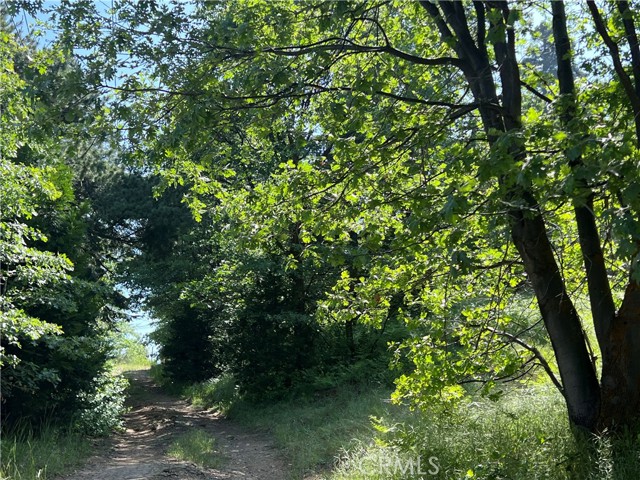 28879 Sycamore Drive, Lake Arrowhead CA: https://media.crmls.org/medias/d577f850-758f-44bc-a833-d629d1aa4a52.jpg