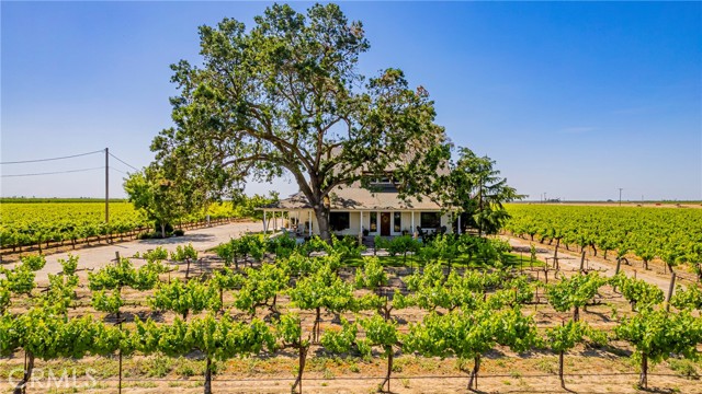 Detail Gallery Image 72 of 75 For 7826 Road 28, Madera,  CA 93637 - 3 Beds | 2/2 Baths