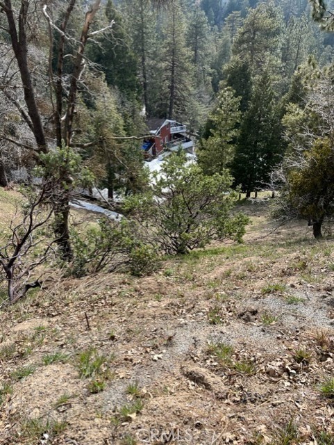 818 Berne, Crestline, California 92391, ,Land,For Sale,818 Berne,CRRW23059271