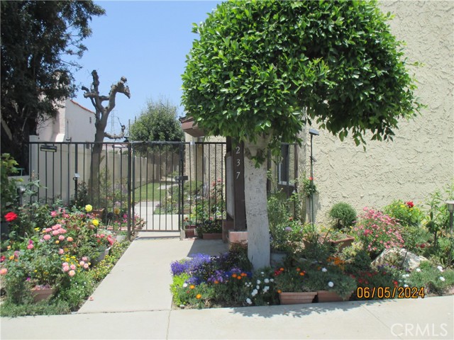 Detail Gallery Image 1 of 1 For 1237 Elm St #F,  San Gabriel,  CA 91775 - 2 Beds | 1/1 Baths