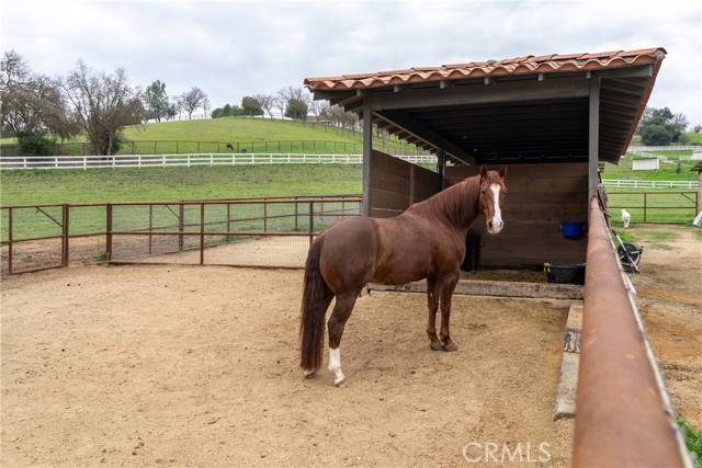 Detail Gallery Image 49 of 66 For 805 Spring Creek Way, Templeton,  CA 93465 - 4 Beds | 3/1 Baths