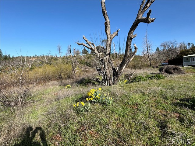 Detail Gallery Image 9 of 20 For 4279 Big Bend Rd, Oroville,  CA 95965 - – Beds | – Baths