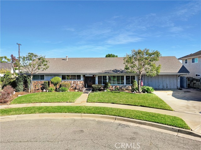 Front Image Thumbnail for CROC25279010