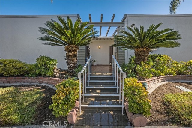 Front Image Thumbnail for CROC26137736