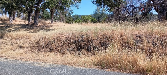 Detail Gallery Image 4 of 12 For 10312 Crestview, Clearlake,  CA 95424 - – Beds | – Baths