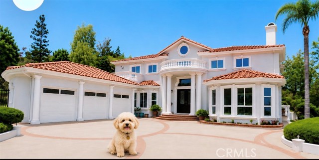 Front Image Thumbnail for CRTR26130805