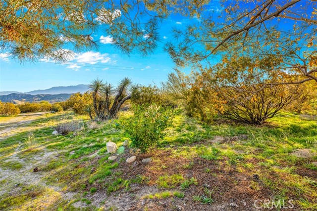 Detail Gallery Image 13 of 16 For 50310 Ash, Morongo Valley,  CA 92256 - 0 Beds | 0 Baths