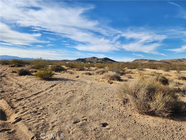 0 Patrick Way, Yucca Valley, California 92252, ,Land,For Sale,0 Patrick Way,CRWS23203577