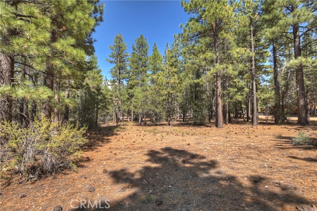 Detail Gallery Image 11 of 15 For 2001 State Ln, Big Bear City,  CA 92314 - – Beds | – Baths