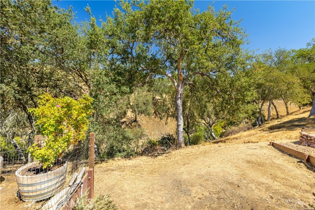 Detail Gallery Image 49 of 55 For 4276 Skylink Ln, Paso Robles,  CA 93446 - 2 Beds | 2 Baths