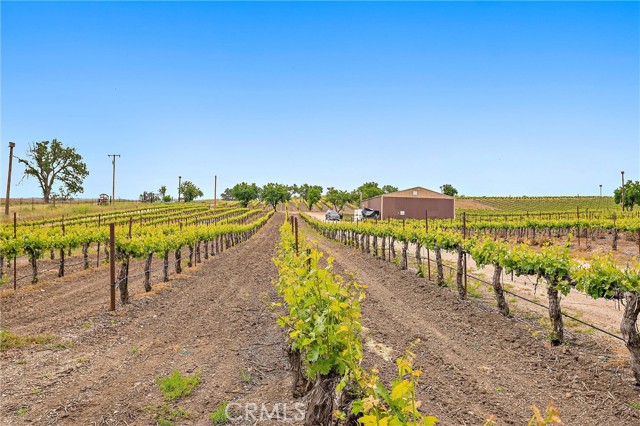 Detail Gallery Image 15 of 17 For 5575 El Pomar, Templeton,  CA 93465 - 3 Beds | 3 Baths