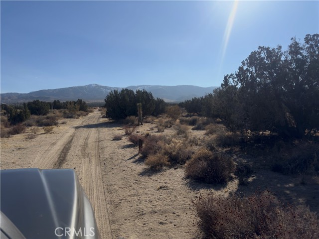 0 Avenue Y, Llano CA: https://media.crmls.org/medias/d5b77e9e-d4cf-41a1-b104-ffea37a44a4c.jpg