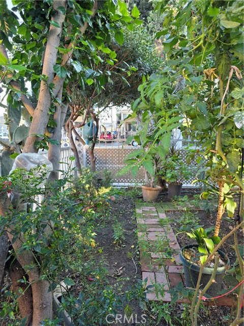 Detail Gallery Image 21 of 22 For 351 E 92nd, Los Angeles,  CA 90003 - 3 Beds | 2 Baths