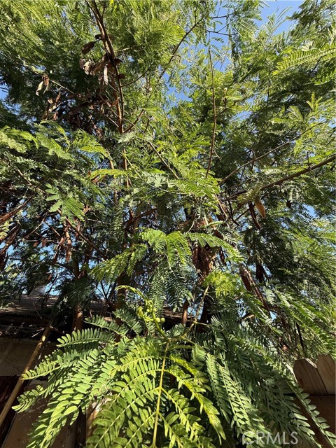 Detail Gallery Image 12 of 31 For 221 S Howard St, Corona,  CA 92879 - – Beds | – Baths