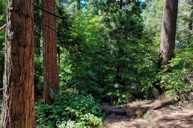 388 State Hwy 173, Lake Arrowhead, CA, 92352 388 State Hwy 173, Lake Arrowhead, CA, 92352