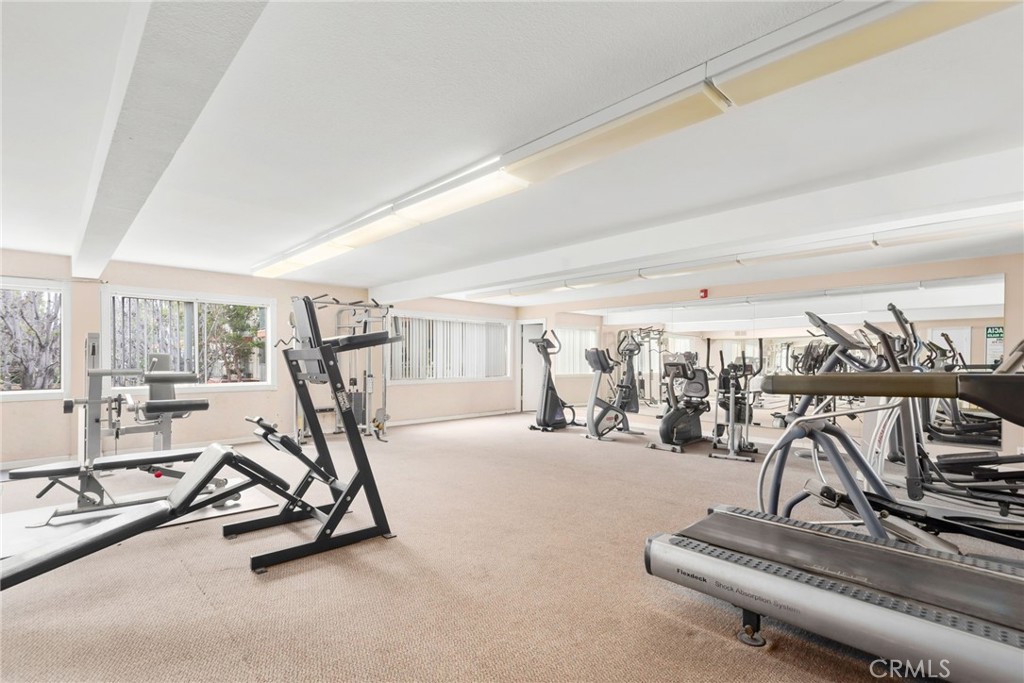 D5cf4ecb F1f4 4930 B919 C6b8d869ef90